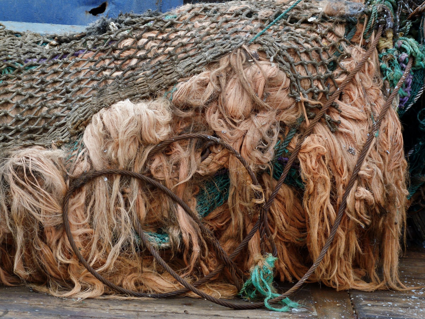 Agadir, Filets ou cheveux ?